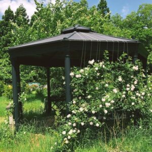 gazebo-rose-iwate3